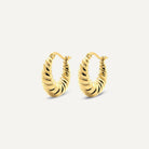Luna Thick Hoops - Timeless Jewels by Shveta